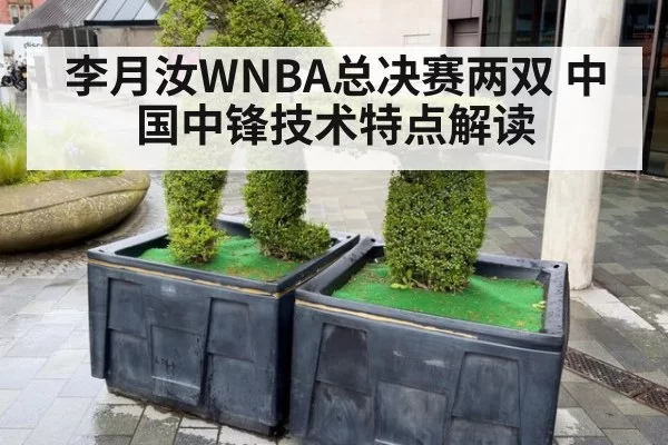 李月汝WNBA总决赛两双 中国中锋技术特点解读